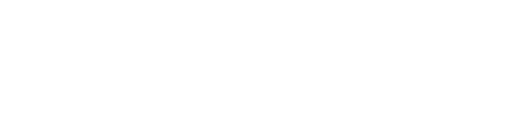 logo de website